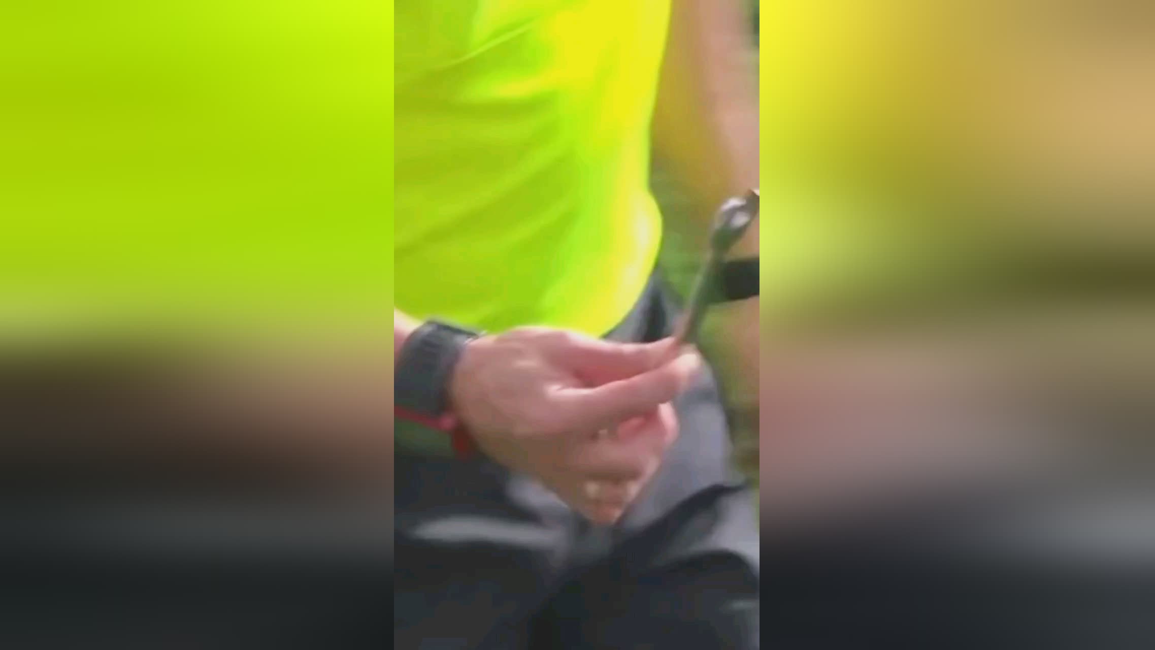 的欧冠小